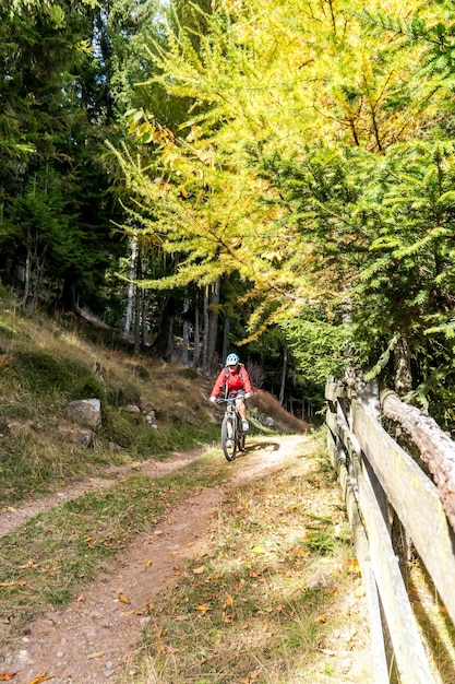 Foto donna in bicicletta nella foresta