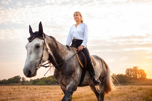 Donna che monta un cavallo grigio in un campo al tramonto. passeggiate, equitazione, noleggio. bellissimo sfondo, natura all'aperto. allenamento sportivo equestre. copia spazio.