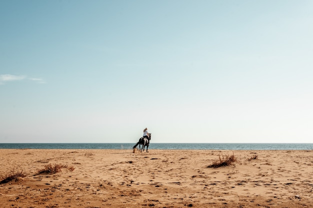 Woman riding a horse at the beach