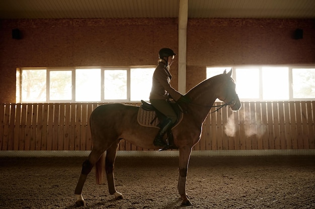Woman riding horse in stable paddock, stallion training in riding club
