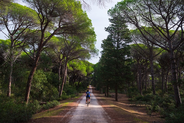Фото Женщина катается на горном велосипеде в заповеднике маремма, тоскана, италия, езда на велосипеде среди обширных сосновых лесов, оливковых деревьев и зеленых лесов в природном парке, драматическое побережье