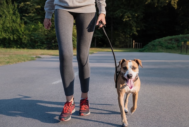 彼女の犬と一緒にスーツのトレーニングを実行している女性。若いフィット公園で朝の散歩をしている女性とスタッフォードシャーテリア犬