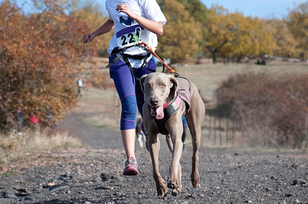 Woman running with her dog