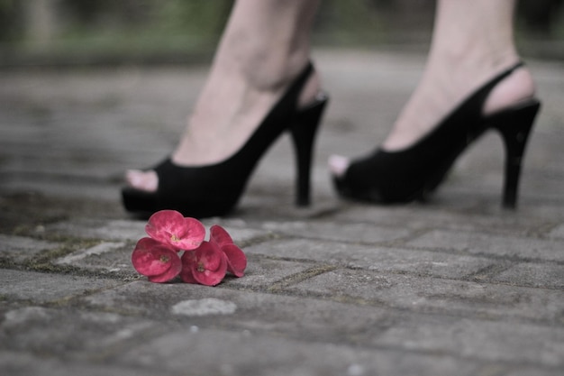 A woman's black high heeled shoes stands on a stone path with a flower on the ground.
