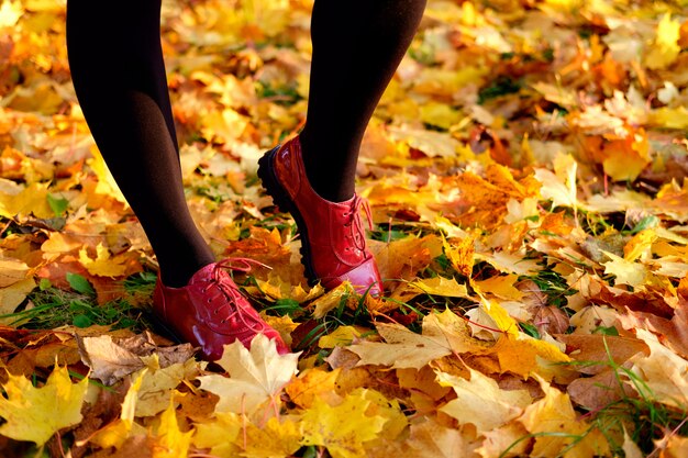 Woman's feet in red autumn patent leather shoes standing among yellow maple leaves