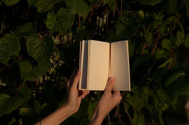 a woman's hand flips through an empty notebook. beautiful cozy sunset color. notebook on the backgro