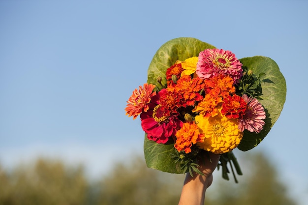 Woman's hand holding beautiful bouquet of summer garden flowers on the blue sky backdround