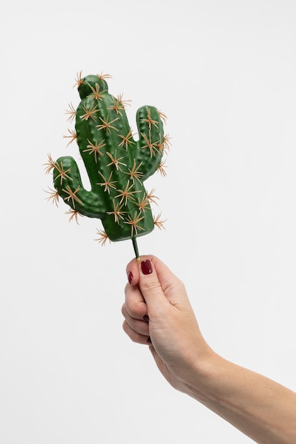 Foto mano della donna che tiene il gelato su un bastone di legno a forma di pianta di cactus.