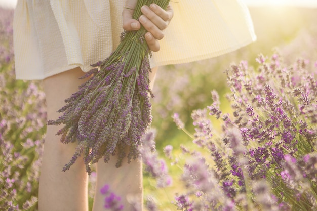 写真 ラベンダーの花の素敵な花束を持っている女性の手。夏のムードの雰囲気。夕日の美しい光。