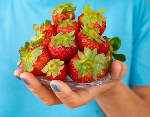 Woman's hand holding plate of fresh ripe strawberries Blue background