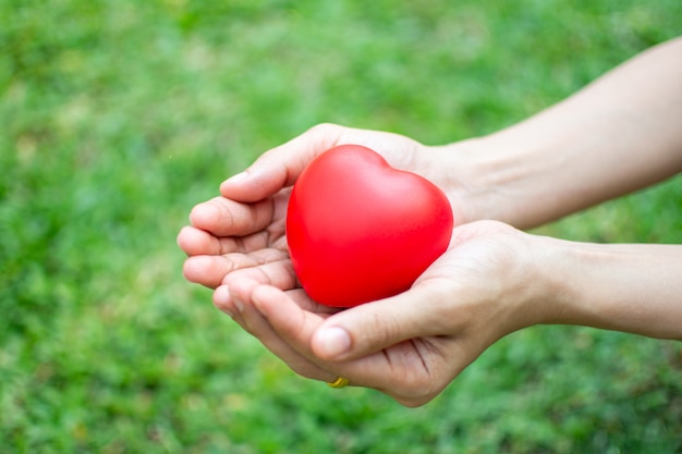 Woman's hand holding red heart with green grass background