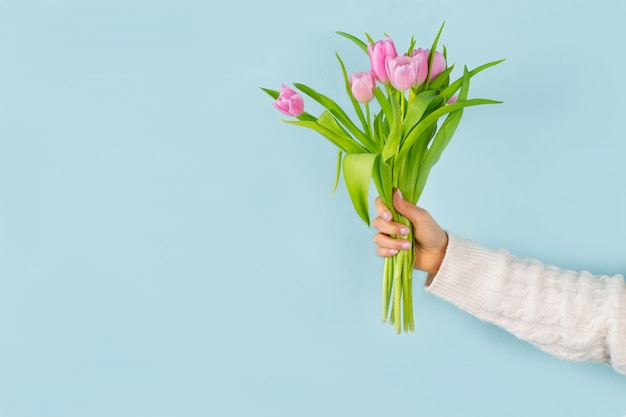 Woman's hand holding tulip bouquet on blue background. Spring concept.