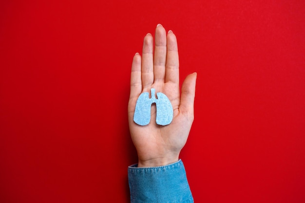 A woman's hand holds a cut-out silhouette of the lungs. Flat lay. Red background. Copy space