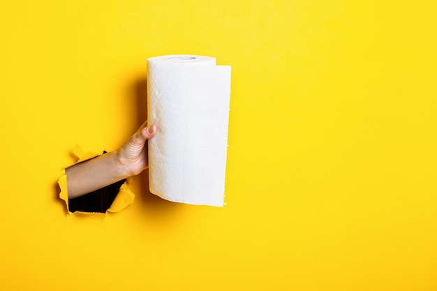 Woman's hand holds white paper towels