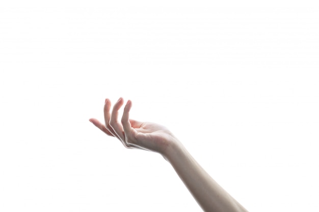 Photo woman's hand isolated on white