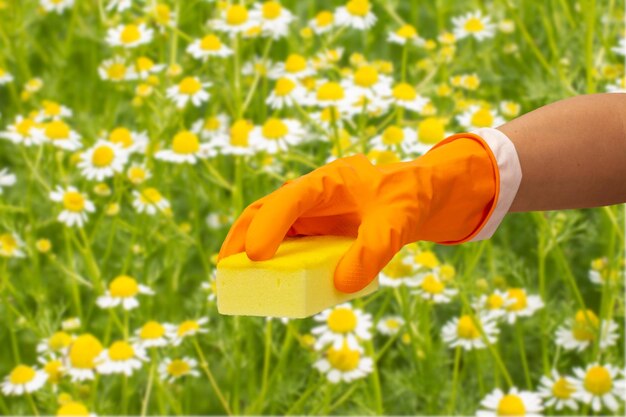 Woman's hand in protective glove with sponge