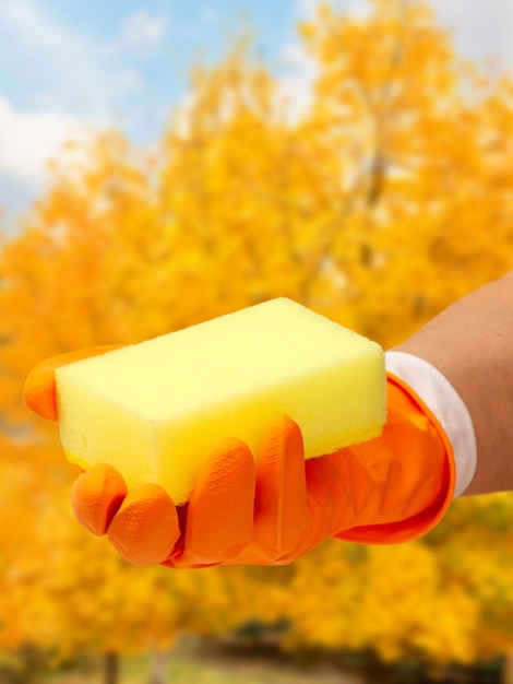 Woman's hand in protective glove with sponge