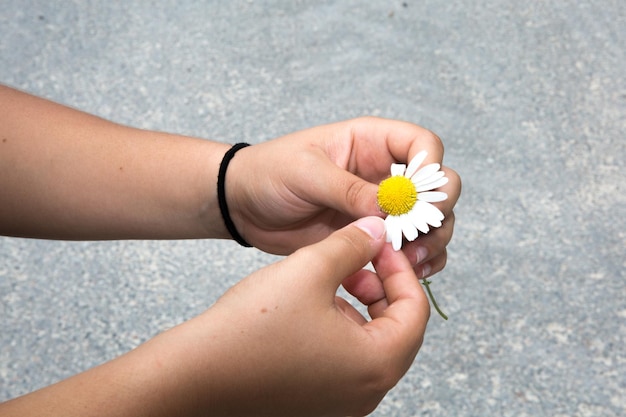 woman's hand snatches flower petals