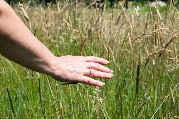 Woman's hand touching the grass, 'feeling nature'