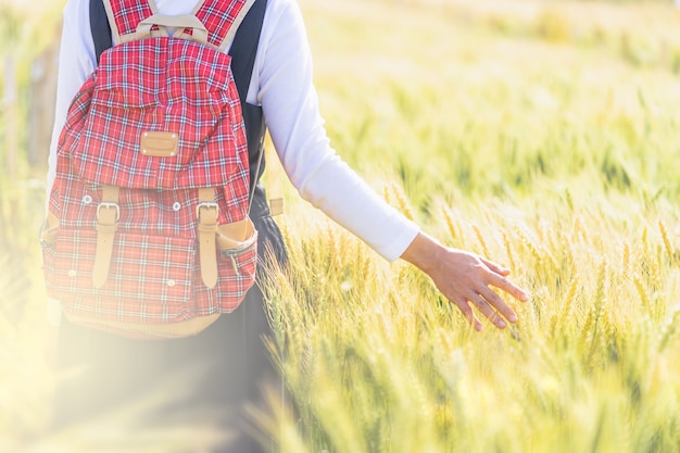 Woman's hand touching wheat in field