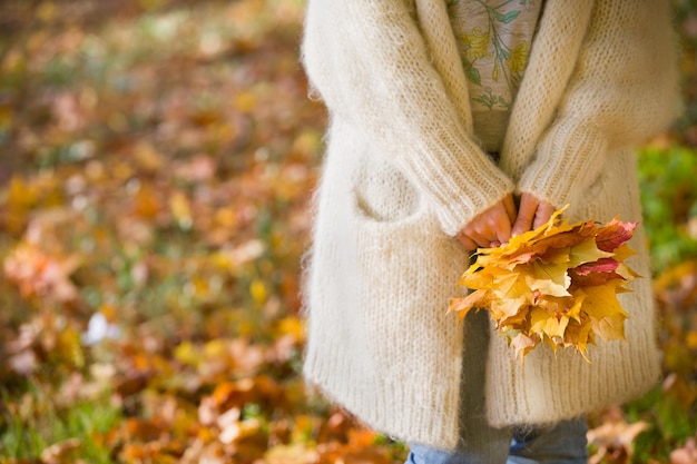 woman's hands holding beautiful bunch of bright autumn maple tree leaves in the park on a sunny day