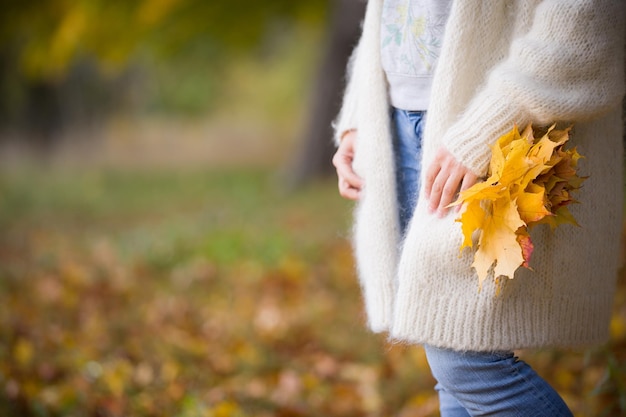 Woman's hands holding beautiful bunch of bright autumn maple tree leaves in the park on a sunny day