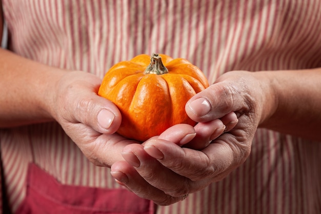 Le mani della donna che tengono zucca.