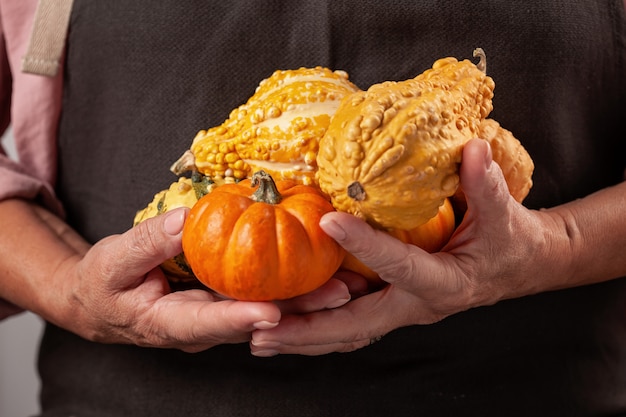 Le mani della donna che tengono zucca.