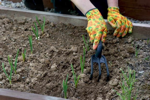 Woman's hands for spring work in the garden