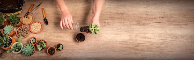 植物を移植する女性の手