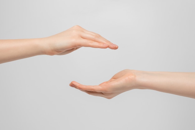 A woman's hands with a palm up and down.