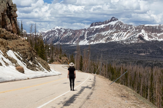 Woman on Scenic Road surrounded by Mountains and Trees