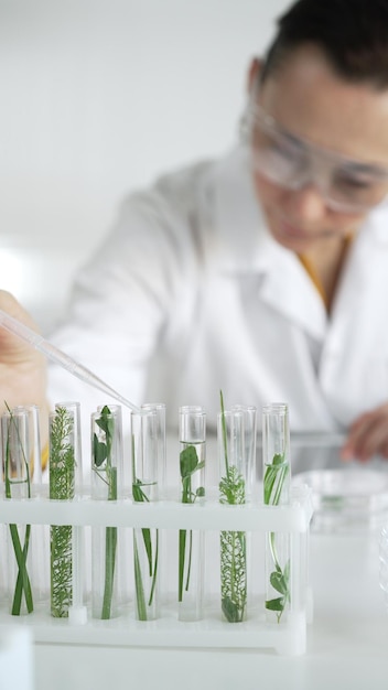 研究室のコートを着た女性科学者は垂直に緑の植物が入っている試管にパイペットから液体を滴り込んでいます科学と医学の概念
