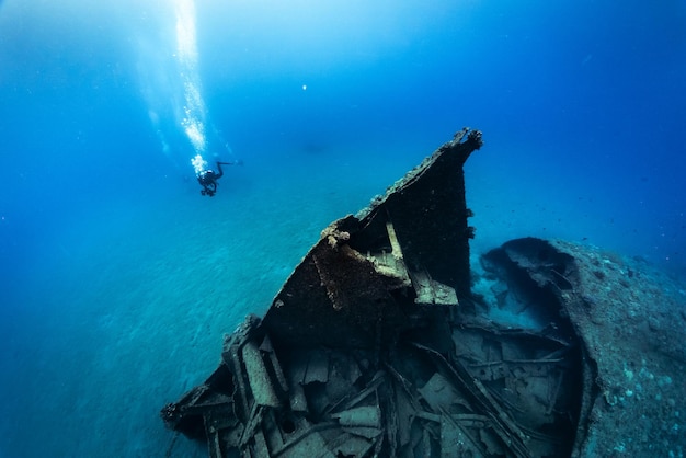Женщина ныряет в море.