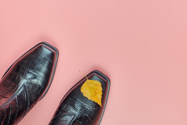 Woman shoes isolated on pink