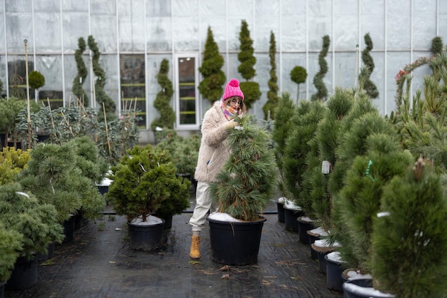 Woman shopping plants at open air market during winter time