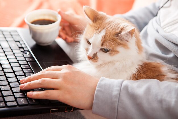 Una donna si siede su un letto con un laptop, un gatto e una tazza di caffè.