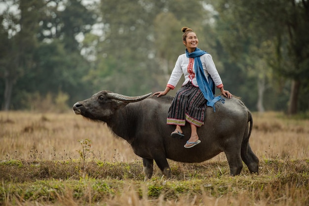 женщина сидит на спине буйвола на лугу.