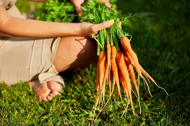 Woman sitting barefoot on grass with branch of raw organic carrots homegrown harvest healthy vegan food summer sunlight