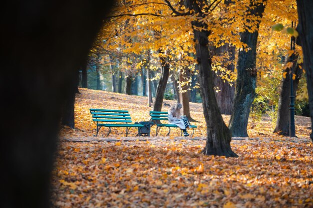 Woman sitting on the bench at autumn city public park