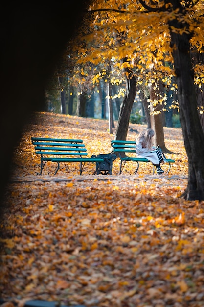 Woman sitting on the bench at autumn city public park