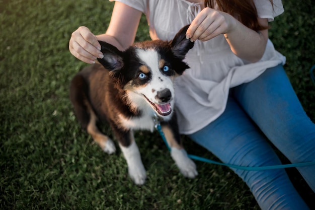 A woman sitting on the grass with her dog