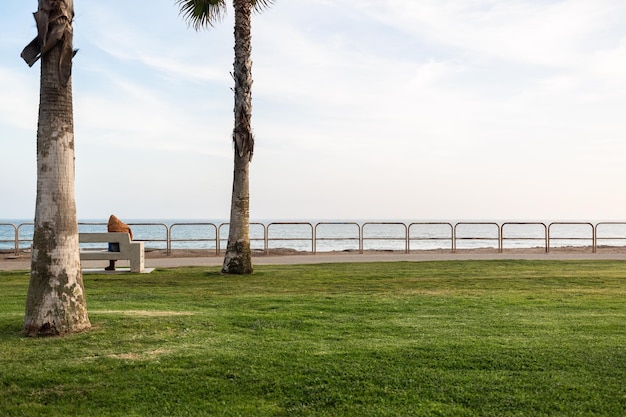 写真 海の向こうのベンチに座っている女性