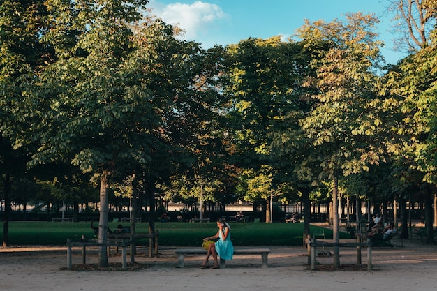 写真 公園のベンチに座っている女性