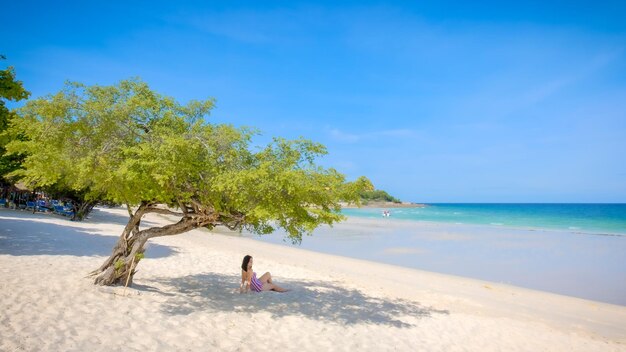 Woman sitting below tree at beach