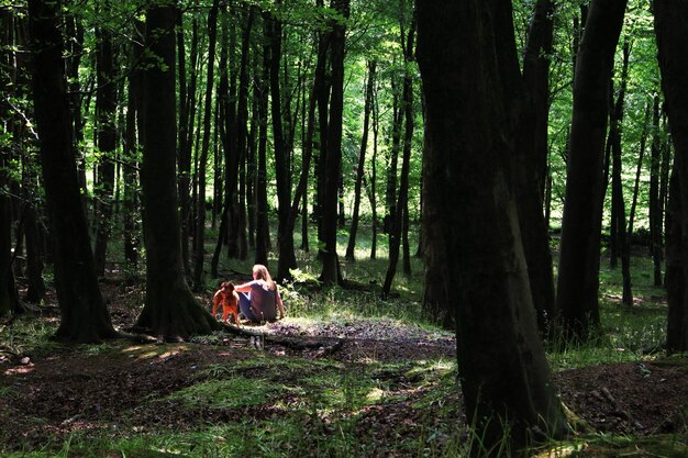 Foto donna seduta con il cane nella foresta