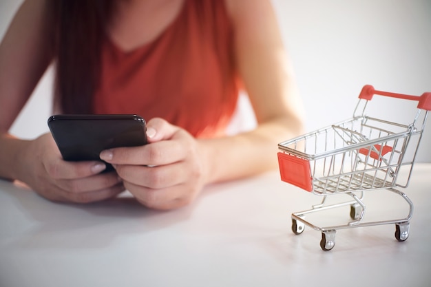 Woman and Small shopping cart with Laptop for Internet online shopping concept.