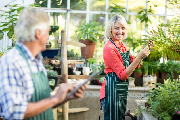 Photo woman smiling while looking at man in greenhouse