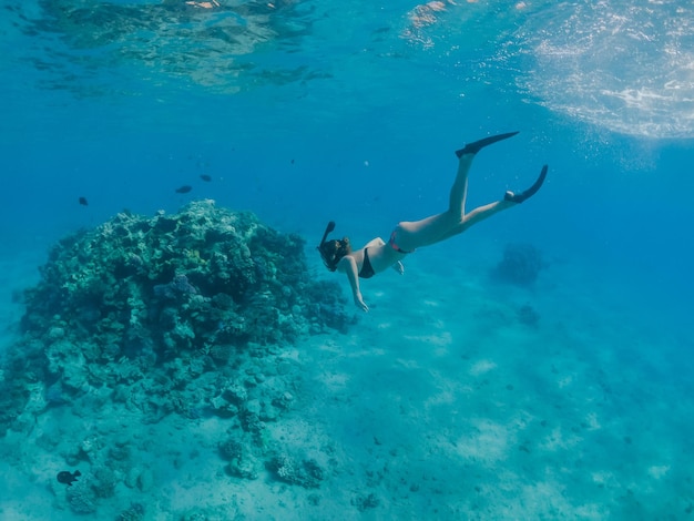 Woman snorkeling and free diving to red sea coral reef