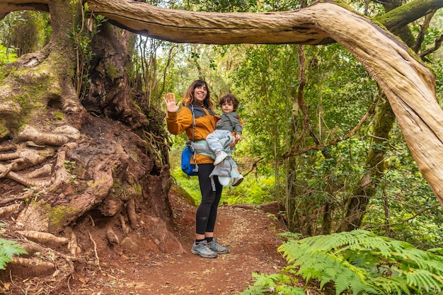 Woman and son looking at a tree on the trail in the moss tree forest of Garajonay National Park La Gomera Canary Islands On the excursion to Las Creces